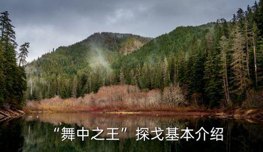 “舞中之王”探戈基本介绍
