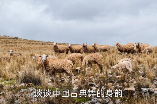 舞蹈如何练神韵,舞蹈的神韵是什么意思