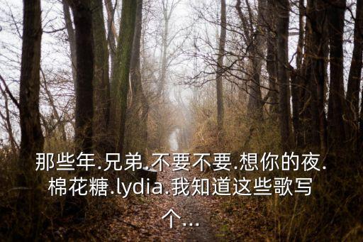 那些年.兄弟.不要不要.想你的夜.棉花糖.lydia.我知道这些歌写个...