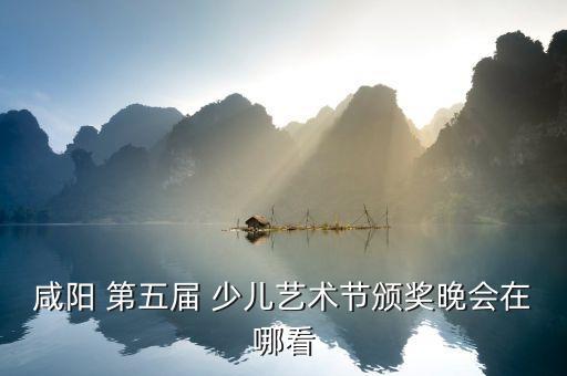 第五届舞蹈大赛少儿组,cctv舞蹈大赛少儿组金奖