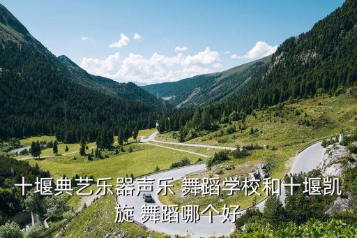 十堰典艺乐器声乐 舞蹈学校和十堰凯旋 舞蹈哪个好