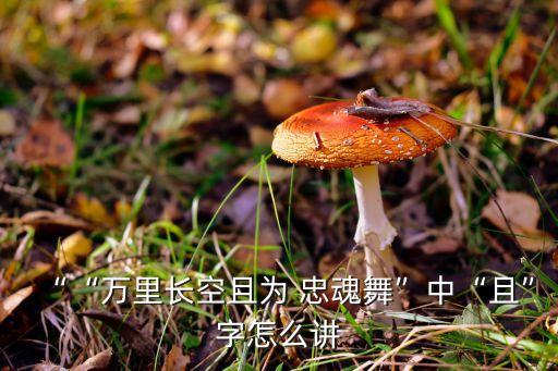 ““万里长空且为 忠魂舞”中“且”字怎么讲