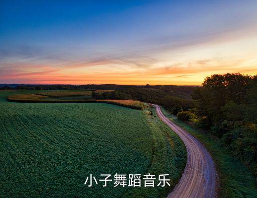 功夫小子舞蹈音乐