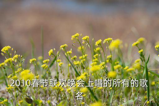 2010春节联欢晚会上唱的所有的歌名