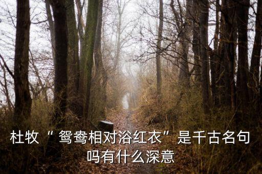 杜牧“ 鸳鸯相对浴红衣”是千古名句吗有什么深意