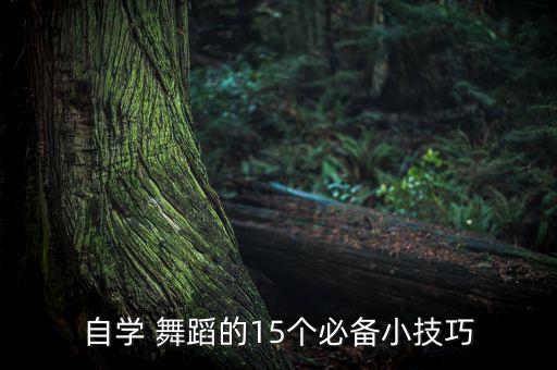不过人间的舞蹈教程,十年人间舞蹈视频完整版教程