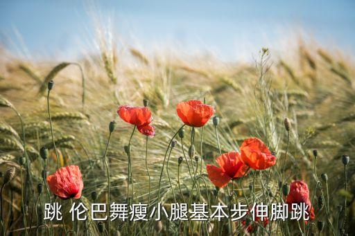 跳 伦巴舞瘦小腿基本步伸脚跳