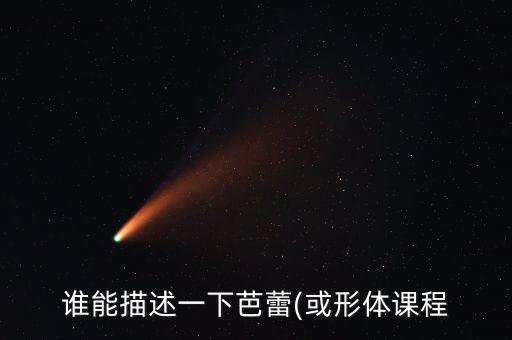 学舞蹈擦地是啥意思