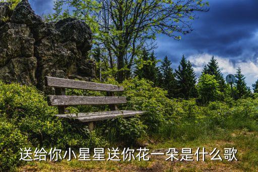 送给你小星星送你花一朵是什么歌