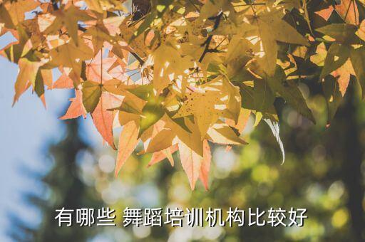 贵州有千夜舞蹈分校吗