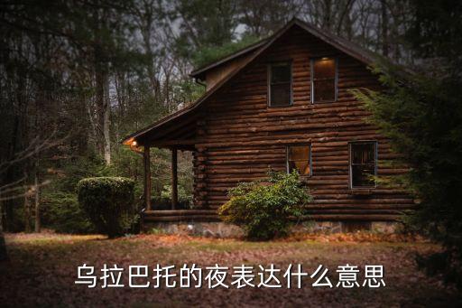 乌拉巴托的夜表达什么意思