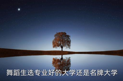  舞蹈生选专业好的大学还是名牌大学