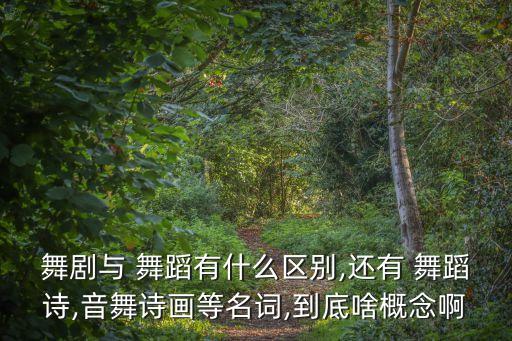舞剧与 舞蹈有什么区别,还有 舞蹈诗,音舞诗画等名词,到底啥概念啊