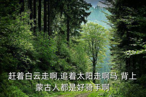 赶着白云走啊,追着太阳走啊马 背上蒙古人都是好骑手啊