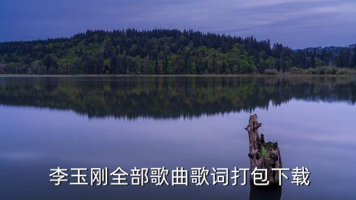  李玉刚全部歌曲歌词打包下载