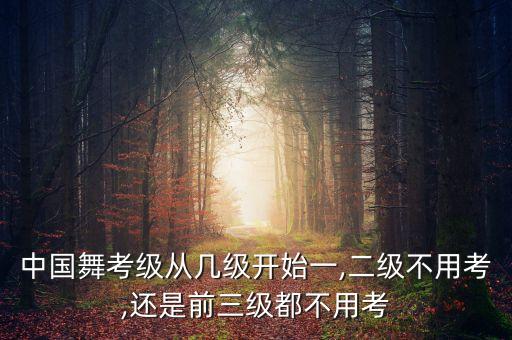 中国舞考级从几级开始一,二级不用考,还是前三级都不用考