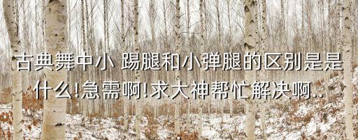古典舞中小 踢腿和小弹腿的区别是是什么!急需啊!求大神帮忙解决啊...