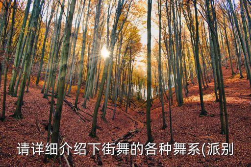 请详细介绍下街舞的各种舞系(派别