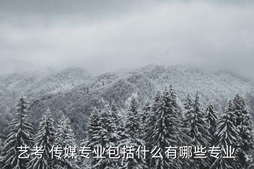 艺考 传媒专业包括什么有哪些专业