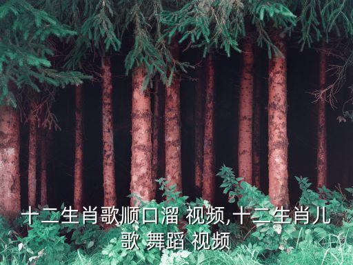 十二生肖歌顺口溜 视频,十二生肖儿歌 舞蹈 视频