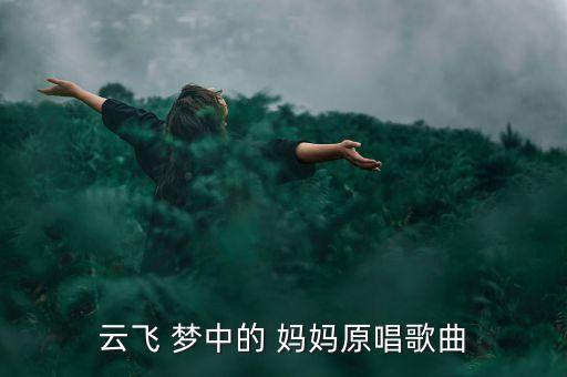 云飞 梦中的 妈妈原唱歌曲