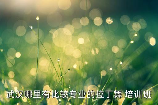 武汉哪里有比较专业的拉丁舞 培训班