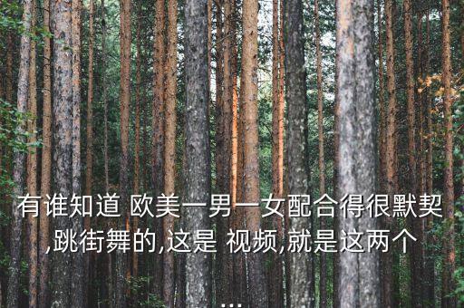 有谁知道 欧美一男一女配合得很默契,跳街舞的,这是 视频,就是这两个...