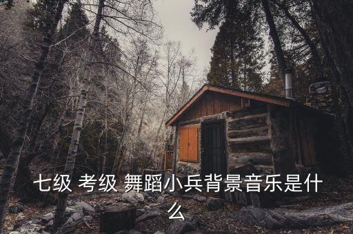  七级 考级 舞蹈小兵背景音乐是什么