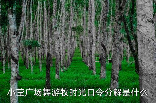 小莹广场舞游牧时光口令分解是什么