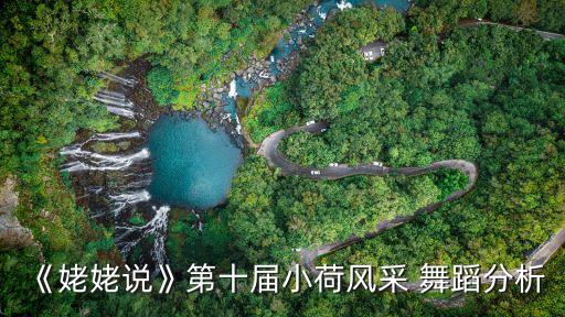 《姥姥说》第十届小荷风采 舞蹈分析