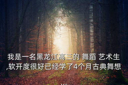 软艺术舞蹈,艺术舞蹈可以分为哪几类