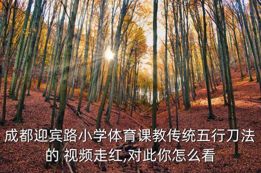 成都迎宾路小学体育课教传统五行刀法的 视频走红,对此你怎么看