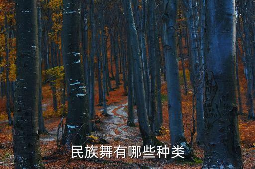 民族舞有哪些种类