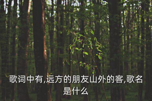 歌词中有,远方的朋友山外的客,歌名是什么