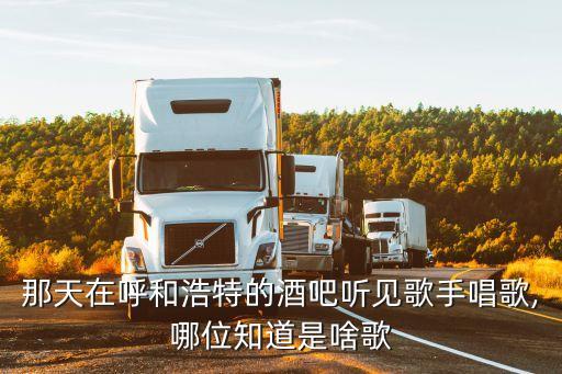 乌兰巴托的夜舞蹈类型型,蒙古舞乌兰巴托的夜舞蹈