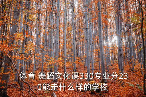  体育 舞蹈文化课330专业分230能走什么样的学校
