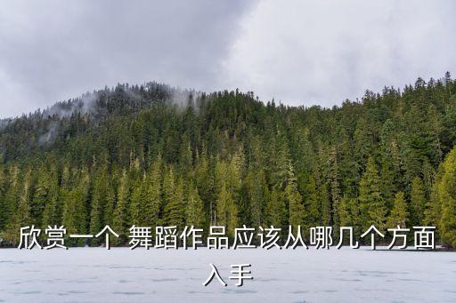 欣赏一个 舞蹈作品应该从哪几个方面入手