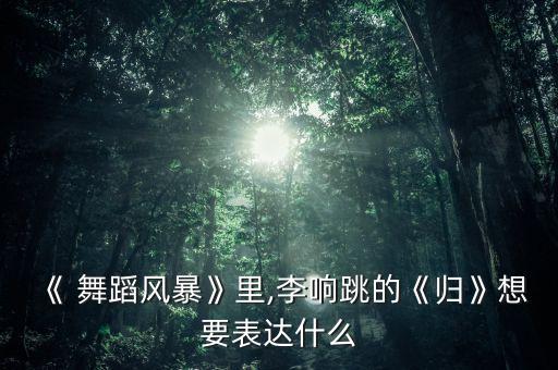 《 舞蹈风暴》里,李响跳的《归》想要表达什么