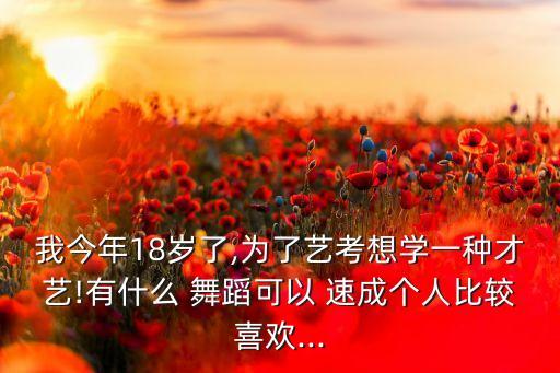 我今年18岁了,为了艺考想学一种才艺!有什么 舞蹈可以 速成个人比较喜欢...