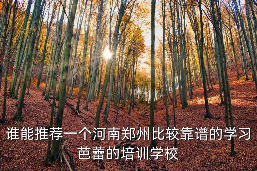 谁能推荐一个河南郑州比较靠谱的学习芭蕾的培训学校
