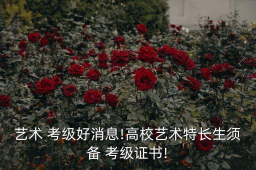 舞蹈考级报名材料,幼儿舞蹈考级怎么报名