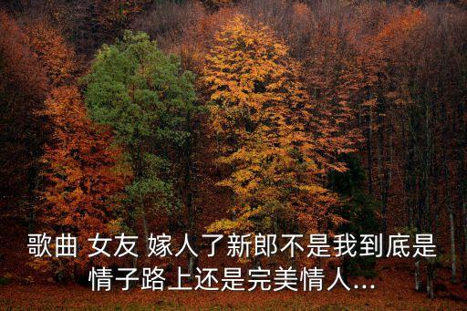 歌曲 女友 嫁人了新郎不是我到底是情子路上还是完美情人...