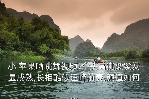 跳小苹果舞蹈怎么跳,筷子兄弟跳的小苹果舞蹈