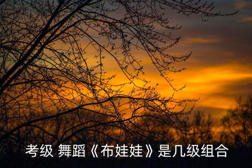  考级 舞蹈《布娃娃》是几级组合