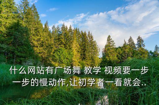 什么网站有广场舞 教学 视频要一步一步的慢动作,让初学者一看就会...