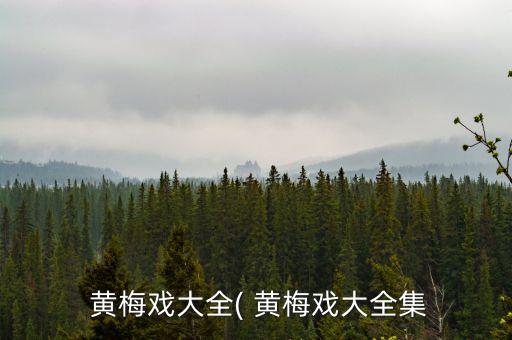  黄梅戏大全( 黄梅戏大全集