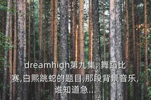 dreamhigh第九集, 舞蹈比赛,白熙跳蛇的题目,那段背景音乐,谁知道急...