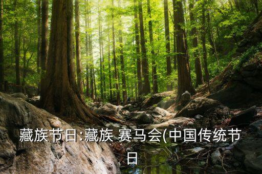 舞蹈一赛马,舞蹈赛马完整视频播放