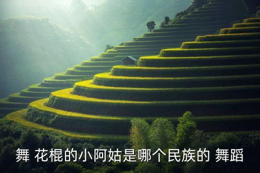 舞 花棍的小阿姑是哪个民族的 舞蹈