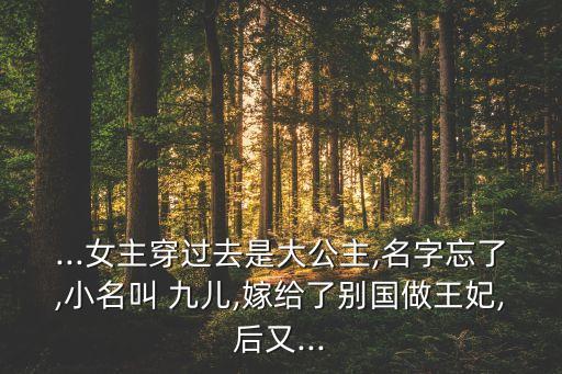 ...女主穿过去是大公主,名字忘了,小名叫 九儿,嫁给了别国做王妃,后又...